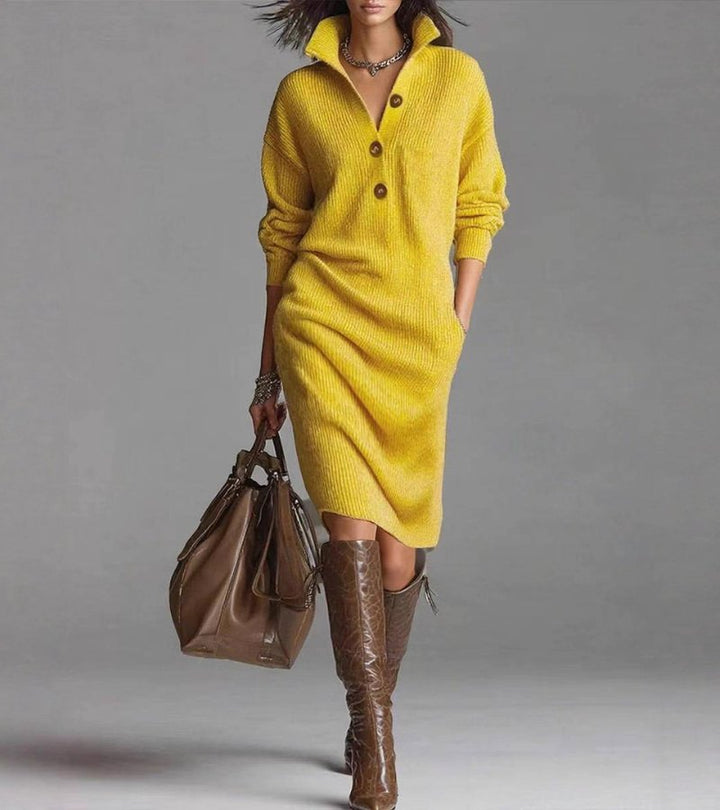 JUDIE | ELEGANT HIGH-COLLAR DRESS